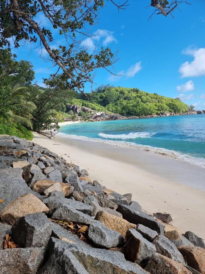 Chalets Des Vacances Takamaka Eksteriør billede